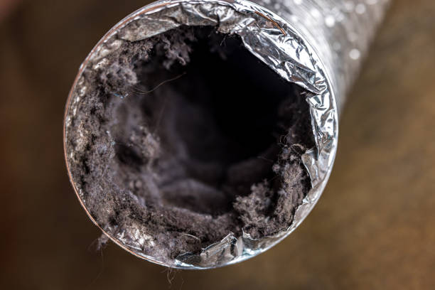 Best Air Duct Inspection Services in Troy, PA